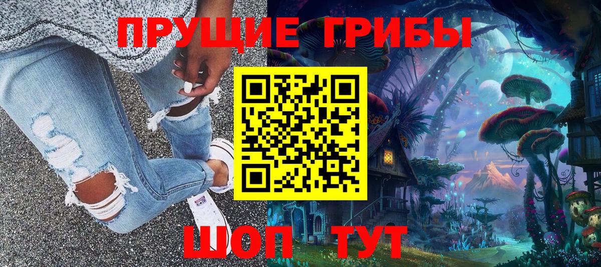 Псилоцибиновые грибы Psilocybe Павлово